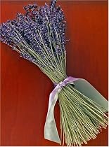 Lavender Bouquet - French Super Blue