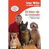 El l�der de la manada (Bolsillo): Adiestra a tu perro. Renueva tu vida (Actualidad)