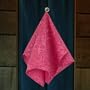 Dish Towel 2-pieces Regale in Linen-Cotton