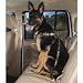 LARGE - GREEN - Camo Car Seat Harness