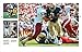ND: The Official Illustrated History of Fighting Irish Football