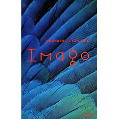 Imago