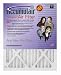 xx Accumulair Diamond Filter (MERV 13)