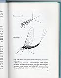 The bankside book of stillwater trout flies