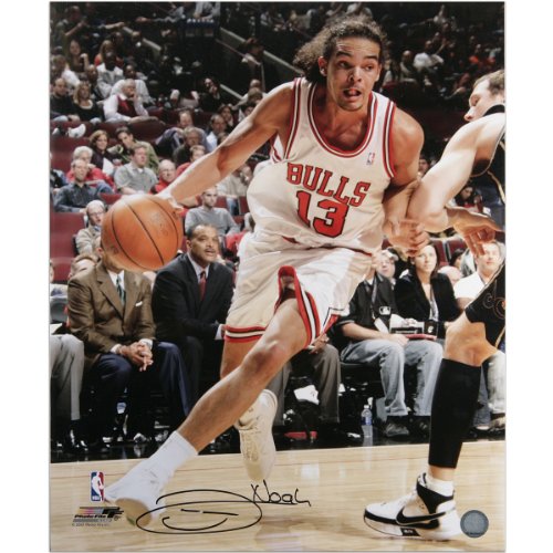 Mounted Memories Chicago Bulls Joakim Noah Autographed 16X20 Photo