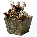 Reindeer Firestarter Bucket