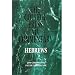 Hebrews (College Press NIV Commentary)