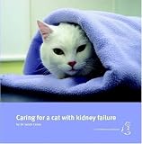 Caring for a cat with kidney failure