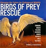 Birds of Prey Rescue: Changing the Future for Endangered Wildlife (Firefly Animal Rescue)