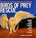 Book Birds of Prey Rescue: Changing the Future for Endangered Wildlife (Firefly Animal Rescue)