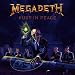 Megadeth Rust in Peace tabs review
