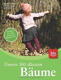 Unsere 500 &auml;ltesten B&auml;ume: Exklusiv aus dem Deutschen Baumarchiv - Bernd Ullrich, Stefan K&uuml;hn, Uwe K&uuml;hn