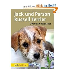 Jack und Parson Russell Terrier