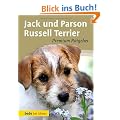 Jack und Parson Russell Terrier