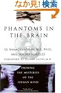 Phantoms in the...