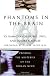 Phantoms in the Brain