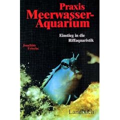 Praxis Meerwasser-Aquarium