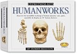 Skullduggery Inc. Eyewitness Kit Humanworks Casting Kit