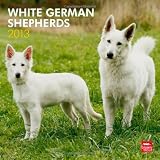 White German Shepherds 2013 - Weiße Schäferhunde - Original BrownTrout-Kalender