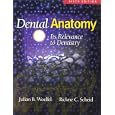 Dental Anatomy: Its Relevance to Dentistry by Julian B Woelfel and Rickne C Scheid