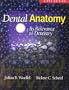 Dental Anatomy: Its Relevance to Dentistry