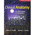 Dental Anatomy: Its Relevance to Dentistry by  Julian B Woelfel and Rickne C Scheid