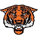 Tiger Head Temporary Tattoos (Orange/White)