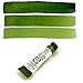 Daniel Smith Extra Fine Watercolor Paint, 5ml Tube, Sap Green, 284610102, 0.17 Fl Oz (Pack of 1)
