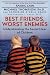 Best Friends, Worst Enemies: Understanding the Social Lives of Children