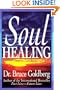 Soul Healing (Llewellyn's Whole Life Series)