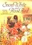 Snow White and Rose Red: A Grimm's Fairy Tale (v. 1)