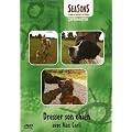 Dresser son chien