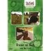Dresser son chien
