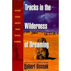 Tracks in the Wilderness of Dreaming: Exploring Interior Landscape Through Practical Dreamwork