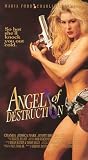 VHS : Angel of Destruction