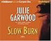 Book Slow Burn