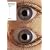 WARP VISION THE VIDEOS 1989-2004 [DVD] (BRCDVD1)
