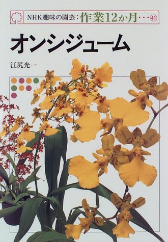���󥷥��塼�� (NHK��̣�α�ݡ����12����)