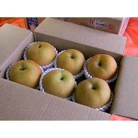 ��������������Q�e�I�����Y�u�v���~�A���L�����v��ʂU�ʂR��