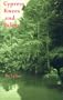 Cypress Knees and Palms
