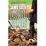 Perdition Valley (Deathlands)