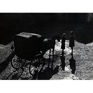 Pattes blanches [Blu-Ray]