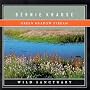 Green Meadow Stream