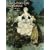 Dulac's Fairy Tale Illustrations in Full Color