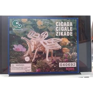 Wooden Butterfly- Precut and Ready to Assemble