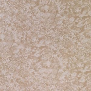 Westcott Photo Basics 5' x 8' 582 Background (Ginger)