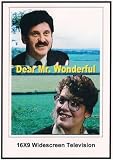 Dear Mr. Wonderful 16x9 Widescreen TV.