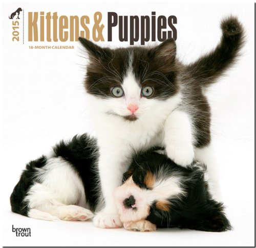 Kittens & Puppies 2015 Square 12x12