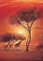 Ravensburger - 1000 pièces - Léon Wells : Afrika