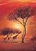 Spielwaren : Ravensburger 15694 - Leon Wells: Africa, 1000 Teile Puzzle